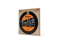 D´Addario EJ43 D´Addario EJ43